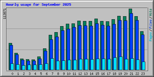Hourly usage for September 2025