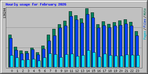 Hourly usage for February 2026